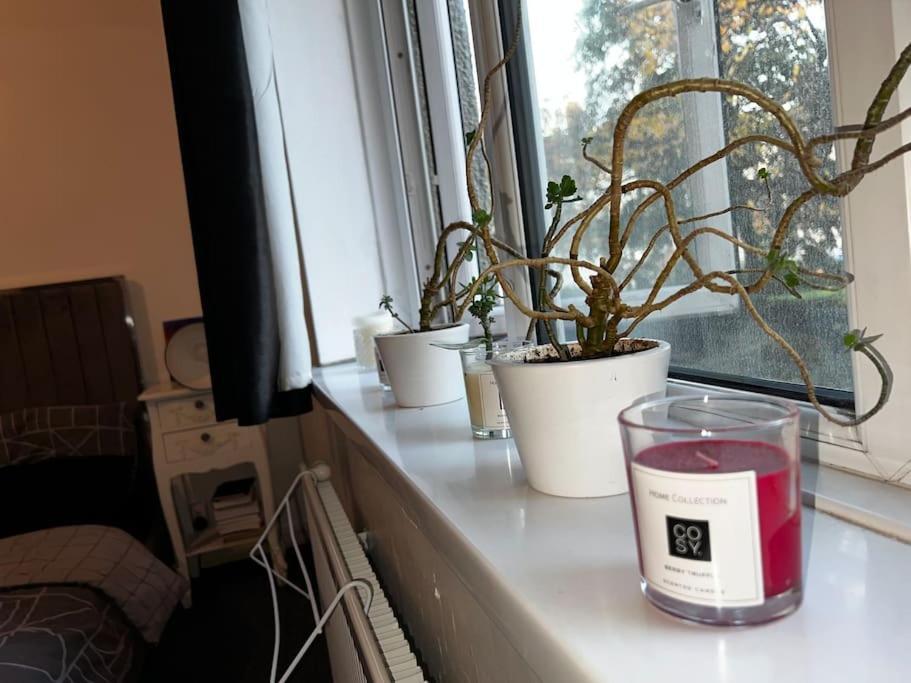 1-Bed Flat With Fast Wi-Fi In Prime Location 15Mins From Central 런던 외부 사진